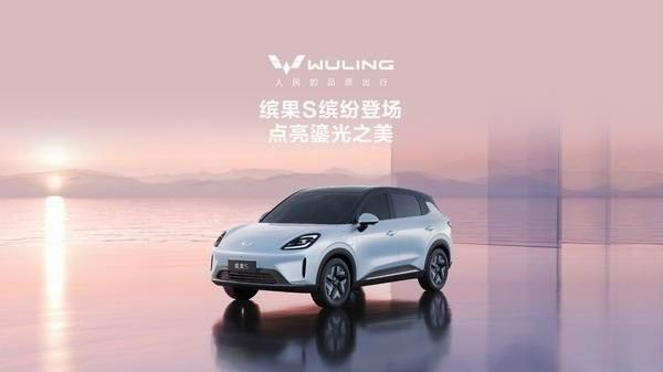 五菱缤果S外观车漆颜色配色有几种