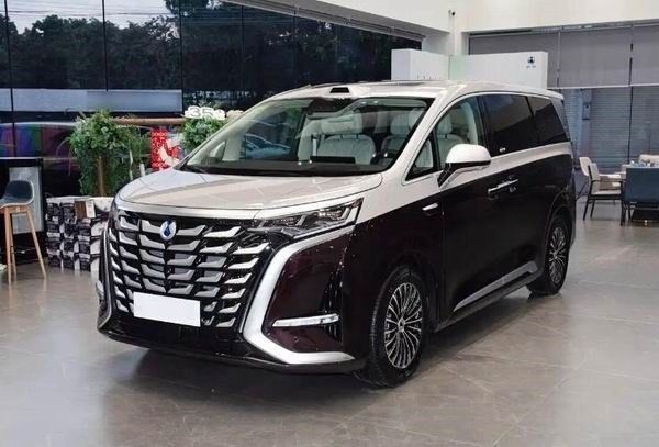中大型MPV腾势D9至尊版正式开启交付价格45.98万元
