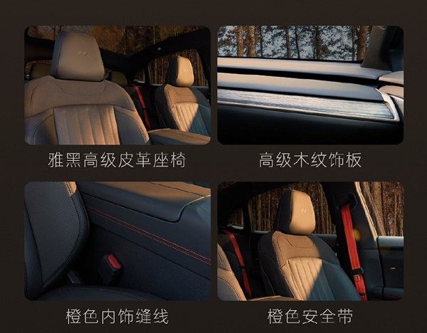 蔚来乐道L60黑骑士版正式上市限量版车型限量666台