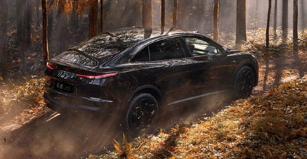 蔚来乐道L60黑骑士版正式上市限量版车型限量666台