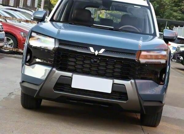 五菱汽车星光家族全新星光560价格参数配置5座布局