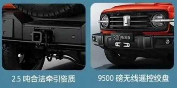 坦克300极地版正式上市价格参数配置限量发售300台