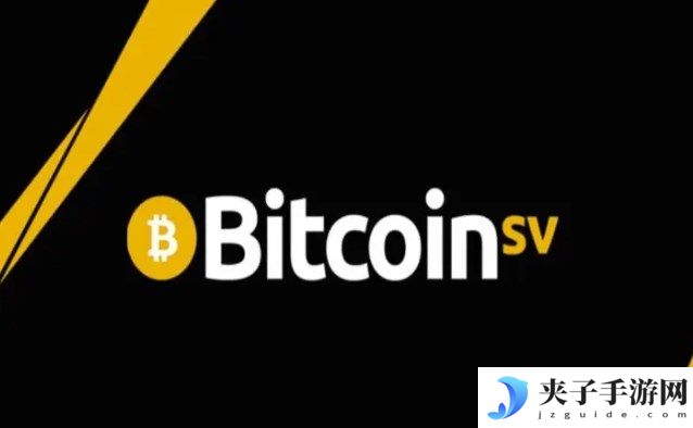 bsv是主流币吗