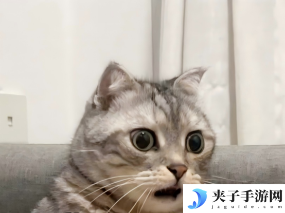 弹道更亮，尾焰更强，拉格朗日武器特效真拉满了