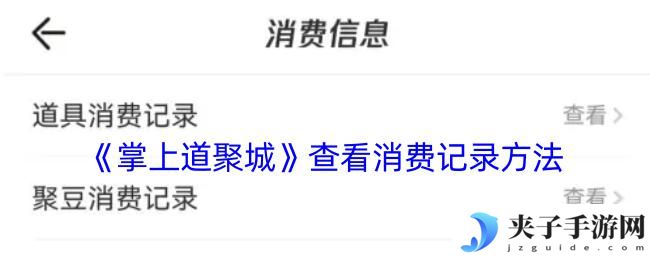 掌机小精灵如何查看自己充的钱 如何查看掌上道聚城消费记录