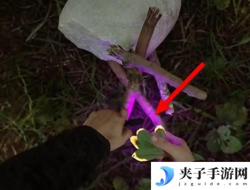 森林之子如何制作火堆 森林之子如何搭建火堆