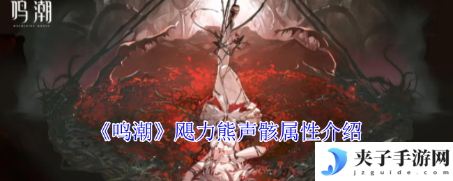 《鸣潮》飓力熊声骸属性介绍
