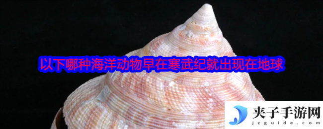以下哪种海洋动物早在寒武纪就出现在地球