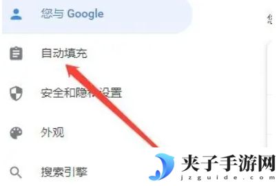 谷歌浏览器,谷歌浏览器最新下载