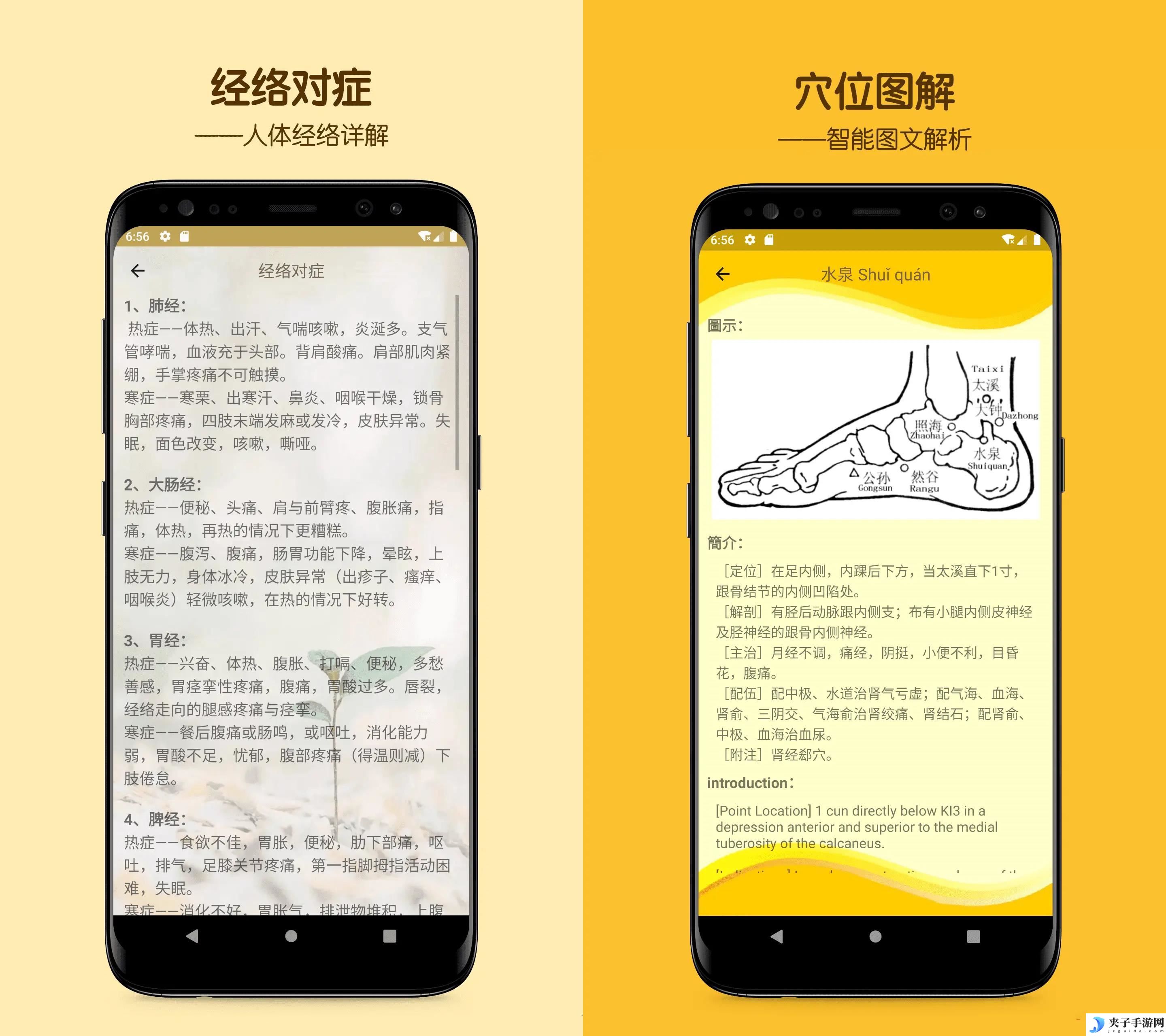 人体穴位图解v3.1.70人体经络去广告版