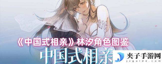 《中国式相亲》林汐角色图鉴