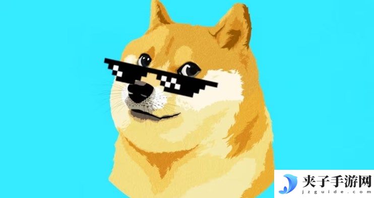 dog和doge是两种币吗
