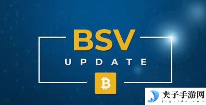 BSV币怎么获得？BSV币购买获取方法大全图文教程