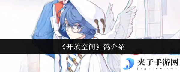 《开放空间》鸽介绍