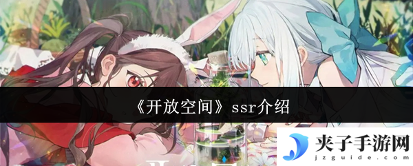 《开放空间》ssr介绍
