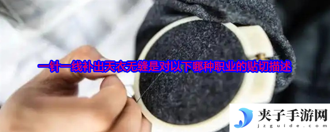一针一线补出天衣无缝是对以下哪种职业的贴切描述
