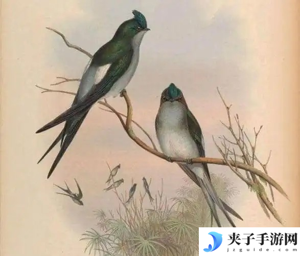 以下哪一项是春分节气的物候特征