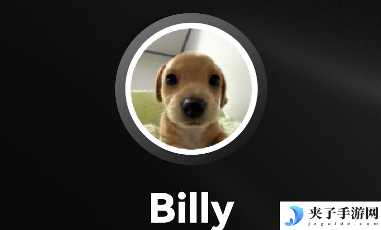 BILLY币交易用哪一个平台 什么平台可以买BILLY币