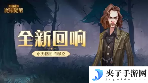 哈利波特魔法觉醒小天狼星回响怎么样