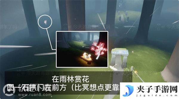 光遇2022花憩节全地图赏花位置汇总