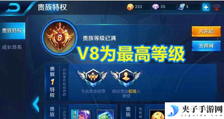 隐藏贵族标志后怎么查看 