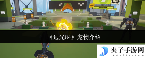 《远光84》宠物介绍