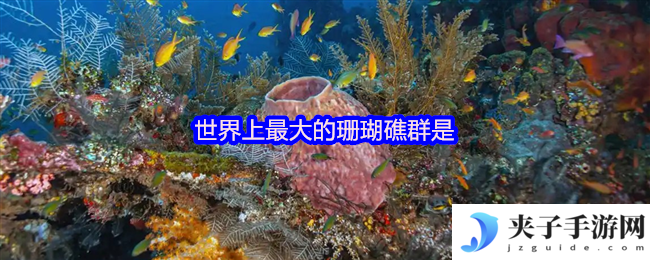 世界上最大的珊瑚礁群是