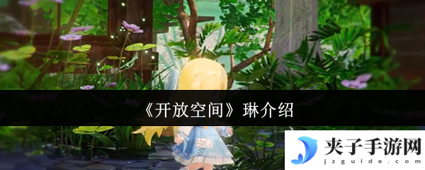 《开放空间》琳介绍