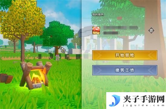 龙与家园时光